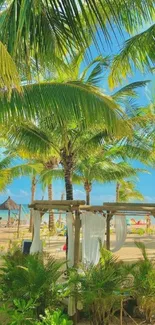 Tropical beach with palm trees and blue sky, serene scenery.