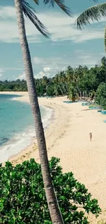 Tropical beach with palm trees and ocean waves under a blue sky wallpaper.