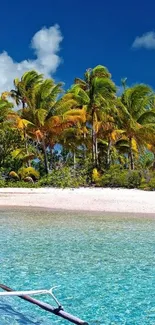 Tropical beach wallpaper with palm trees and clear water.