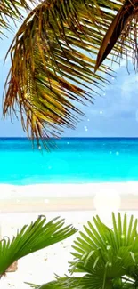 Tropical beach wallpaper with palms and turquoise ocean.