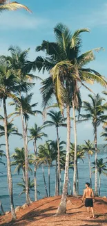 Tropical beach with palm trees and clear blue ocean scenery.