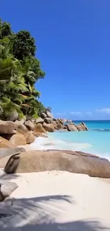 Tropical beach with turquoise water and lush greenery under a clear blue sky.