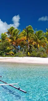 Tropical beach with palm trees and clear blue ocean.