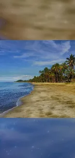 Tropical beach with palm trees under a blue sky.