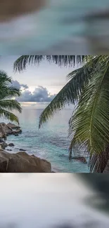 Tropical beach with palm trees and ocean waves at dusk.