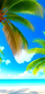 Tropical beach scene with palm trees, ocean, and a bright blue sky.