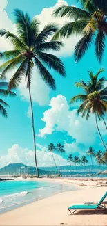 Tropical beach with palm trees and clear blue sky.