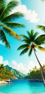 Tropical beach wallpaper with palm trees and ocean view.