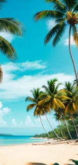 Tropical beach scene with blue sky and palm trees.