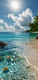 Tropical beach with palm trees and clear blue waters under a sunny sky.