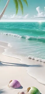 Tropical beach with palm trees and seashells on a sunny day.
