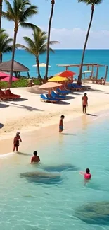 Tropical beach with palm trees and clear ocean water, perfect for wallpaper.