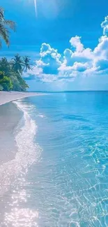 Tropical beach with clear water and palm trees under a sunny sky