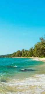 Tropical beach with turquoise ocean and lush greenery backdrop.