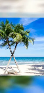 Tropical beach with palm trees and ocean view wallpaper.