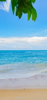 Tropical beach wallpaper with blue sea and green leaves.