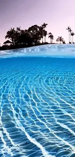 A tranquil tropical beach with clear blue water and palm trees.