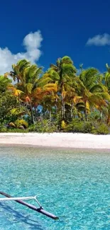 A tropical beach with palms and clear blue ocean under a serene sky.