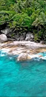 Tropical beach with turquoise ocean and lush green palms.