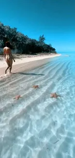 Peaceful tropical beach with clear blue water and sand featuring starfish.