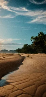 Tropical beach with palm trees at sunset, serene sands and blue sky.