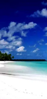 Tranquil tropical beach with blue sky.