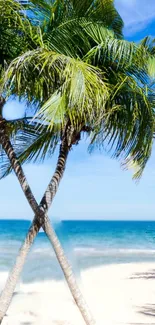 Tropical beach with palm trees and blue sky mobile wallpaper.