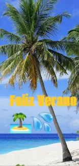 Tropical beach with palm trees and blue ocean, text says 'Feliz Verano'.