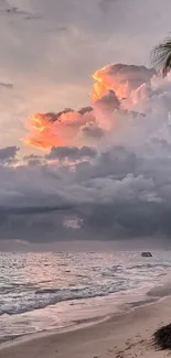 Stunning tropical beach at sunset with dramatic clouds and palm tree silhouette.