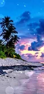 Serene tropical beach with vibrant sunset and palm trees in the background.