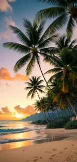 Tropical beach sunset with palm trees and vibrant sky.