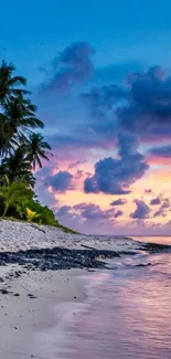 Tropical beach at sunset with palm trees and a vibrant sky over calm ocean waves.