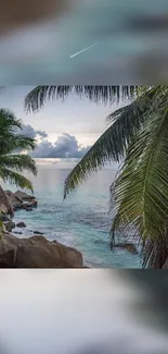 Tropical beach at sunset with palm trees and calm ocean waves.