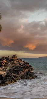 Tropical beach at sunset with palm trees and ocean waves.