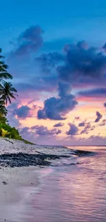 Tropical beach at sunset with palm trees and calm ocean waves.