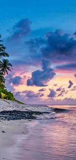 Tropical beach with a stunning sunset and palm trees.