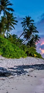 Tropical beach at sunset with palms and colorful sky.