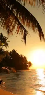 Tropical beach at sunset with palm trees and ocean waves.