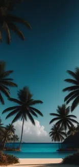 Tropical beach with palm trees at sunset and clear blue waters.