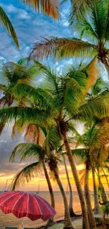 Tropical beach with palm trees at sunset, vibrant sky colors.