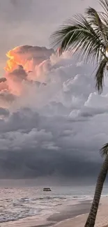 Tropical beach at sunset with palm tree and vibrant clouds.