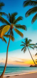 Tropical beach at sunset with palm trees and colorful sky.