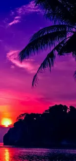 Tropical beach sunset with palm tree silhouette and vibrant colors.