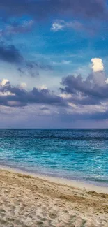 Tropical beach sunset with azure sky and sandy shore.