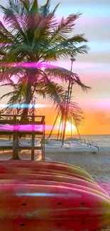 Tropical beach at sunset with palm trees and kayaks.