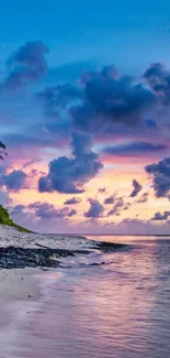 Tropical beach sunset with palm trees and a vibrant ocean view.