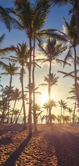 Tropical sunset with palm trees on a beach.