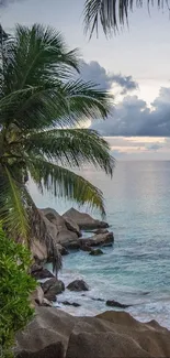 Tropical beach with palm trees and ocean at sunset.