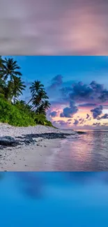 Scenic mobile wallpaper of a tropical beach during sunset with palm trees and ocean view.