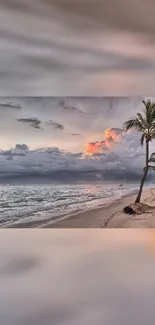 Tropical beach with palms at sunset, mobile wallpaper.